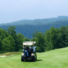 Golf Cart Jim2 ERP Business Engine